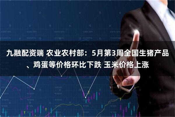 九融配资端 农业农村部：5月第3周全国生猪产品、鸡蛋等价格环比下跌 玉米价格上涨