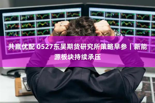 共赢优配 0527东吴期货研究所策略早参｜新能源板块持续承压