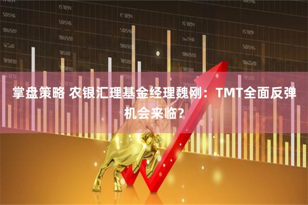 掌盘策略 农银汇理基金经理魏刚：TMT全面反弹机会来临？