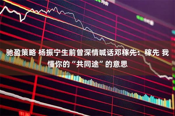 驰盈策略 杨振宁生前曾深情喊话邓稼先：稼先 我懂你的“共同途”的意思